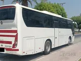 LUXURY BUS FOTON 47 SEATER FOR RENT 